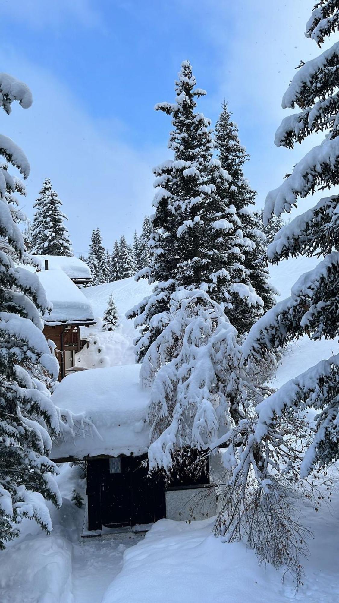 Chalet Baur Arosa Exterior foto